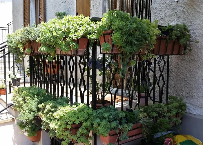 Séjour chez l'habitant Dueterre & Host *